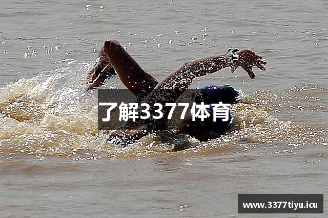 了解3377体育